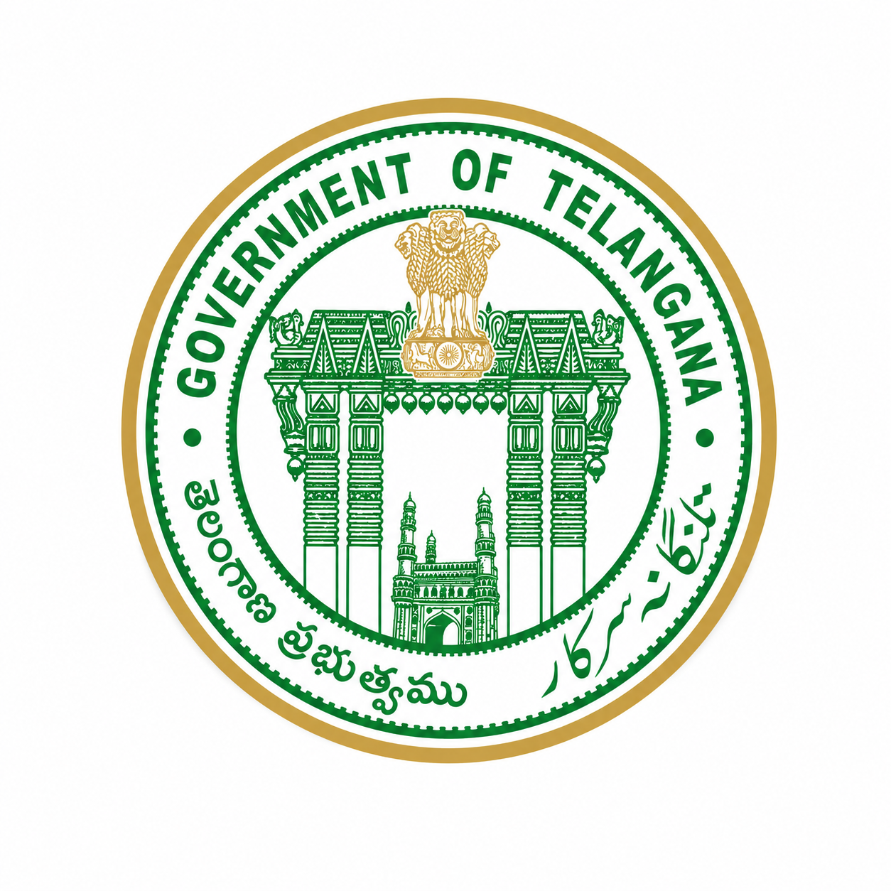 Government Projects